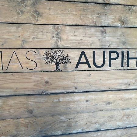 Mas Aupiho Villa Saint-Rémy-de-Provence Kültér fotó