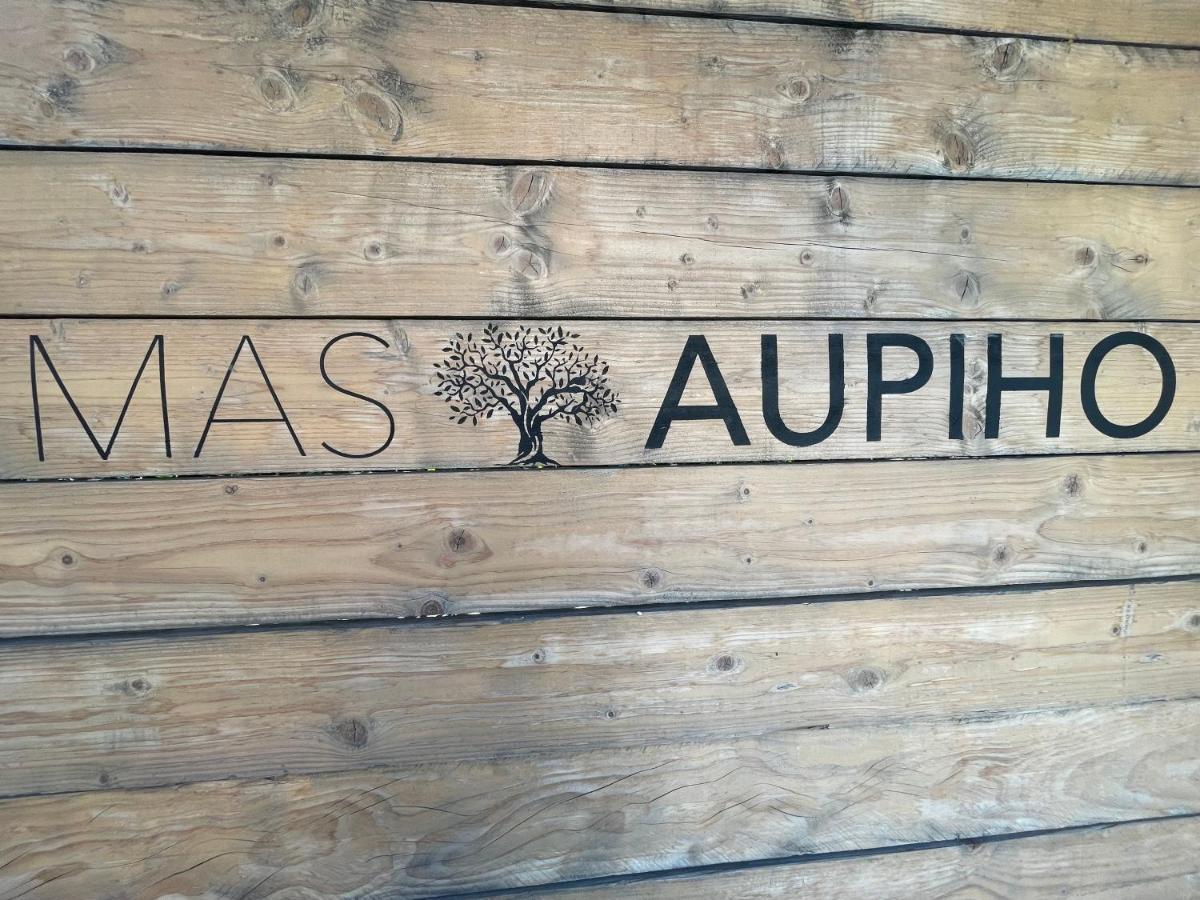Mas Aupiho Villa Saint-Rémy-de-Provence Kültér fotó